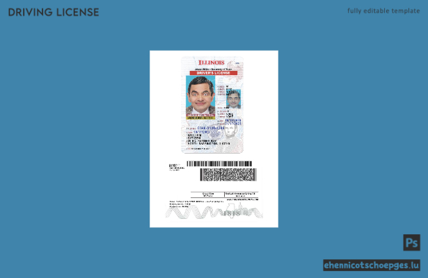 USA Illinois Führerschein unter 21 Jahren – Beispielvorschau